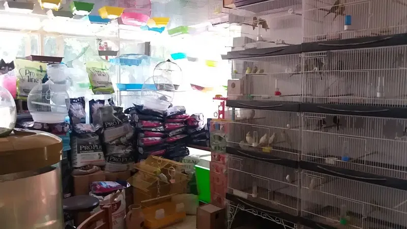 Bayındır Petshop - Photo 3