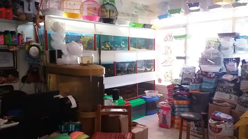 Bayındır Petshop - Photo 6