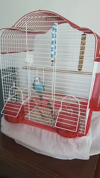 Bayındır Petshop - Photo 8