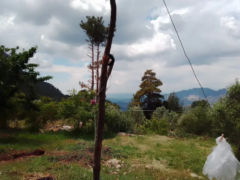 Bağbeleni̇ Mevki̇i̇ - Photo 3