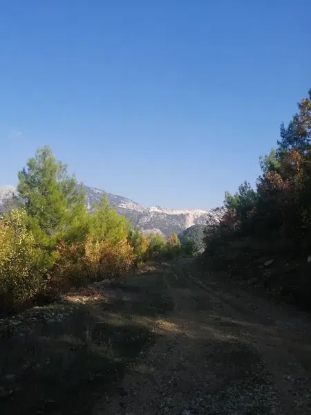Bağbeleni̇ Mevki̇i̇ - Photo 4