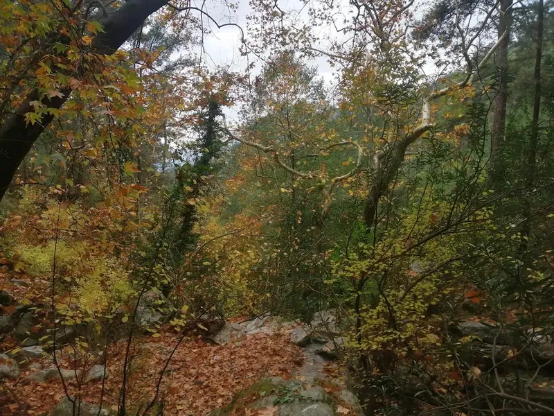 Bağbeleni̇ Mevki̇i̇ - Photo 9