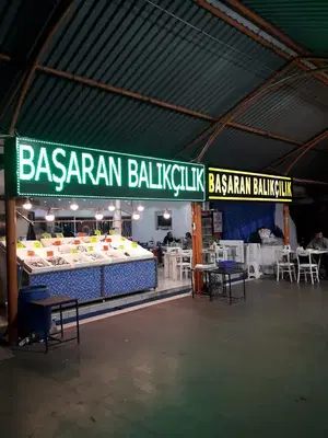 Başaran Balıkçılık