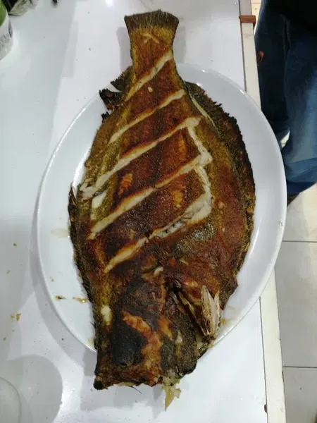 Başaran Balıkçılık - Photo 6