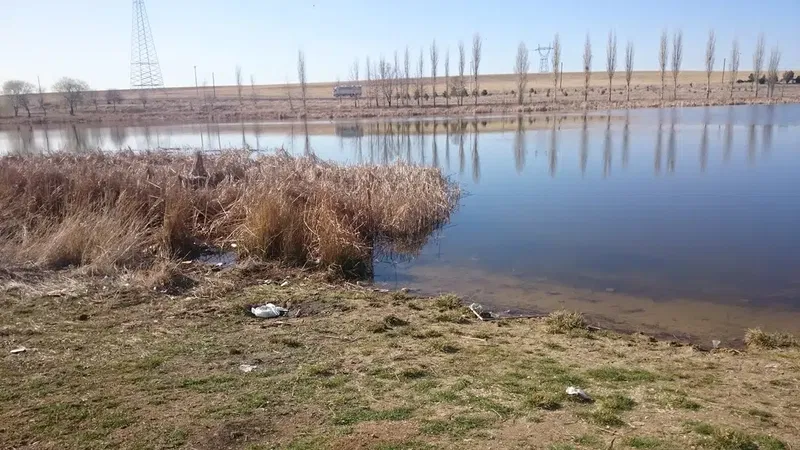 Başhüyük Göleti - Photo 1