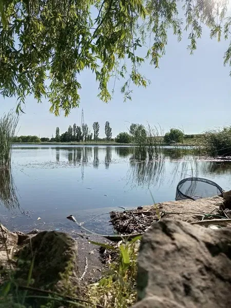 Başhüyük Göleti - Photo 6