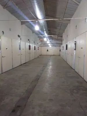 Başkent Yarka Yumurta Canlı Tavuk Alım Satım
