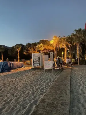 Beach 7