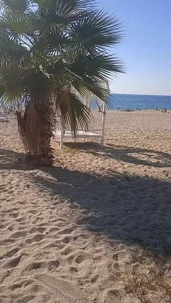 Beach 7 - Photo 2