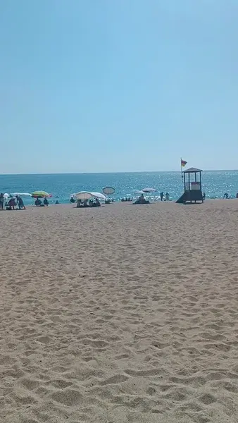Beach 7 - Photo 8