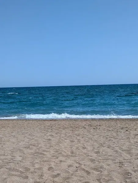 Beach Bar - Photo 5