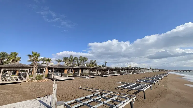 Beach Bar - Photo 6