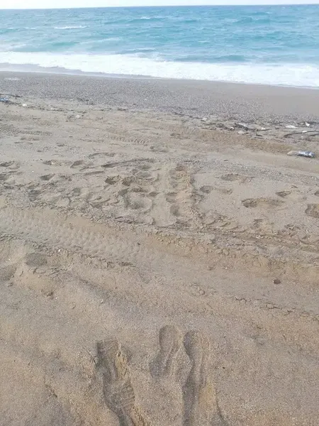 Beach Cafe - Photo 10
