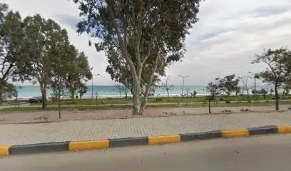 Beach gym - Photo 1