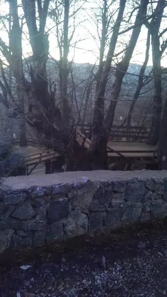 Bekere Piknik - Photo 9