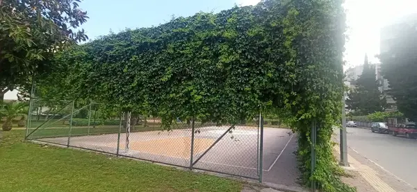 Belediye parkı