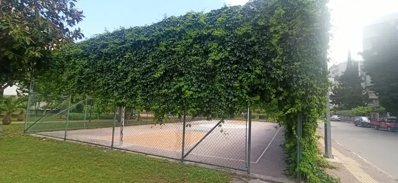 Belediye parkı - Photo 1