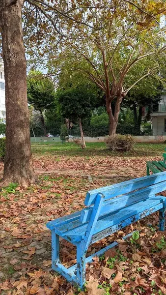 Belediye parkı - Photo 9
