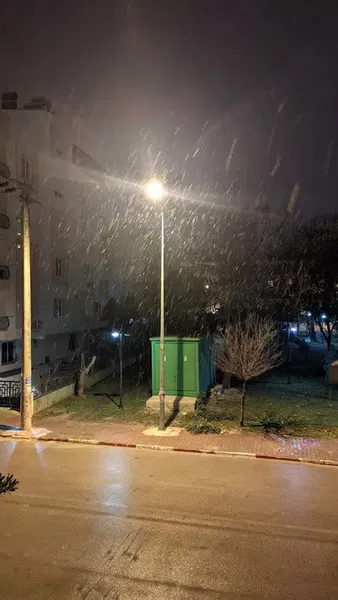 Belediye parkı - Photo 10