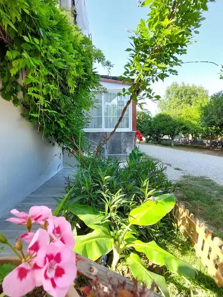 BelHomes Apart - Photo 6