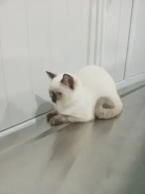 Bera Veteriner Kliniği