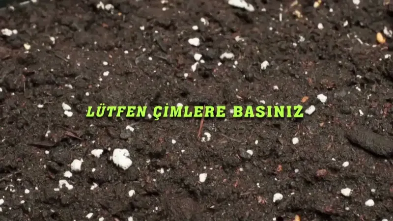Bermuda Hazır Rulo Çim Antalya - Photo 2