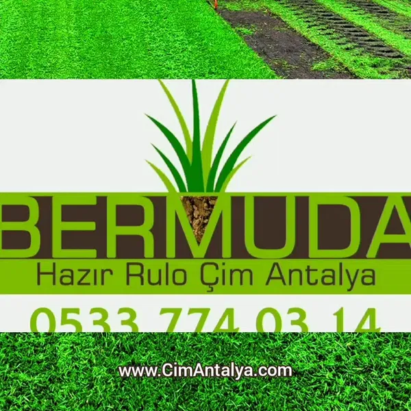Bermuda Hazır Rulo Çim Antalya - Photo 7