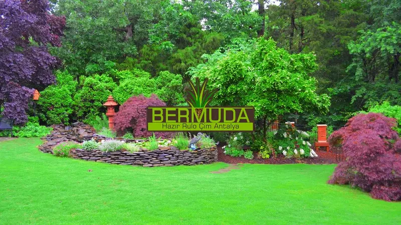 Bermuda Hazır Rulo Çim Antalya - Photo 9