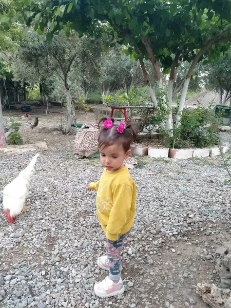 Beybaba Fidancılık - Photo 8