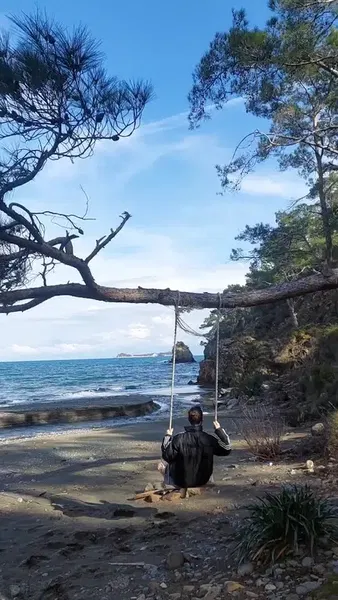 Beycik Bükü Thicket - Photo 2
