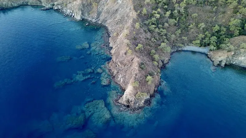 Beycik Bükü Thicket - Photo 6