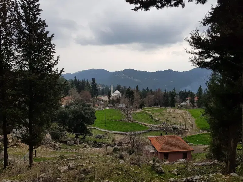Beycik Palace - Photo 7
