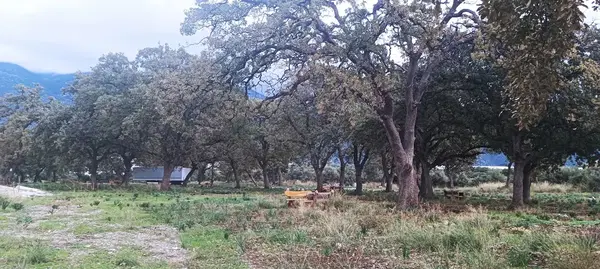 Beyemlek barbekü ve piknik alanı barbekü ve piknik alanı