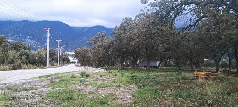 Beyemlek barbekü ve piknik alanı barbekü ve piknik alanı - Photo 2