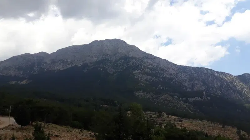 Beykent Villa Beycik - Photo 5