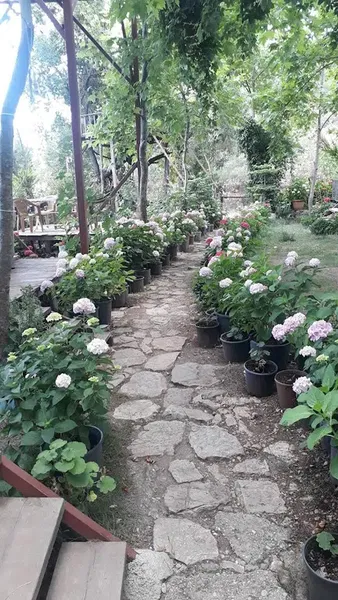 Beykent Villa Beycik - Photo 8