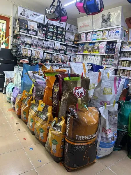 Beyoğlu Petshop & Pet Kuaför - Photo 3