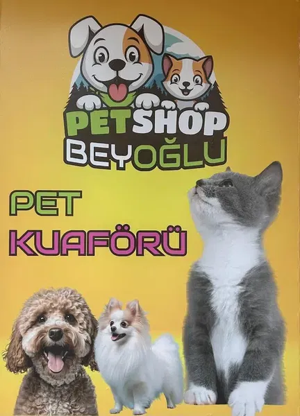 Beyoğlu Petshop & Pet Kuaför - Photo 7