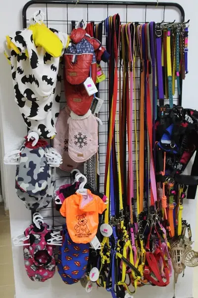 Beyoğlu Petshop & Pet Kuaför - Photo 9