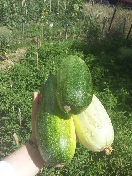 Beyşehir Ziraat Odası - Photo 6