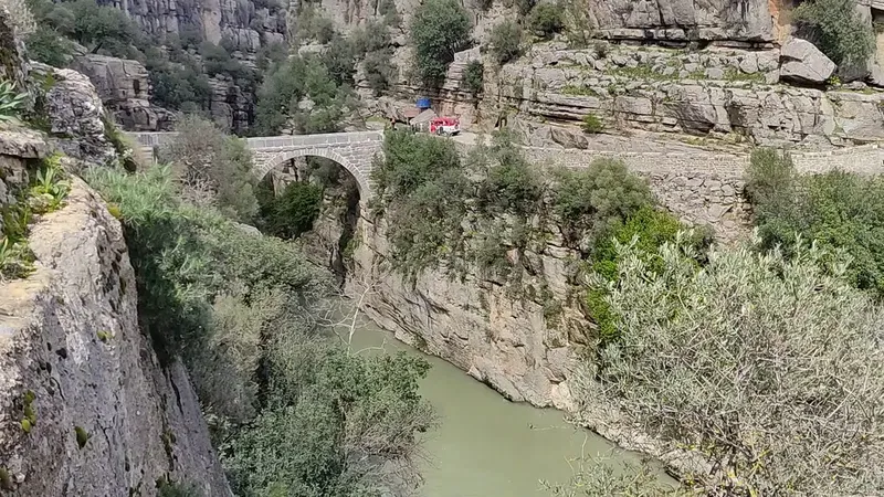 Beskonak Bridge - Photo 8