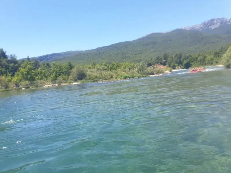 Beşkonak Tarım Kredi Kooperatifi - Photo 2