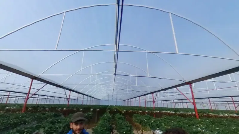 Big Berry Tarım A.Ş. - Photo 2