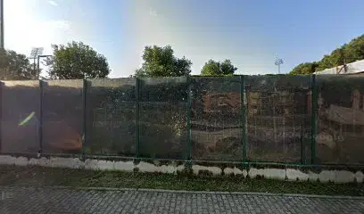Bilge Ağaç Ormanı