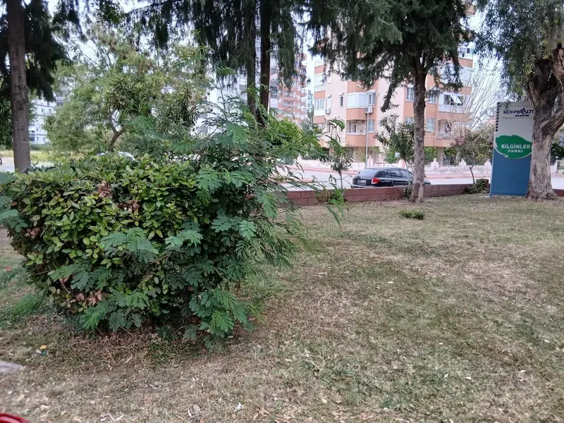 Bilginler Parkı - Photo 6