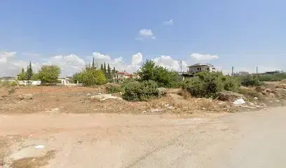 Bim