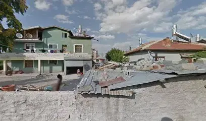 Bim - Photo 1