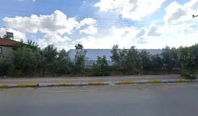 Bim