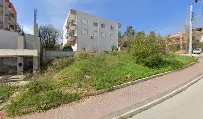 Bim