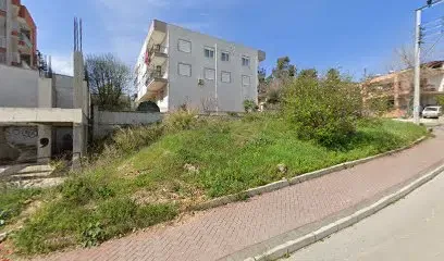Bim - Photo 1